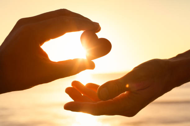 Nonprofit and charity accounting services by licensed CPA in Coquitlam